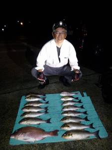 夜通し釣りにチャレンジ、かご釣りでイサキ・マダイ・ゴマサバ