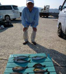 神谷沖一文字　カゴ釣りでイサギ・サバ　のませでシオ50cm