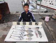 黒島の筏　コロダイ・マダコ・アコウ・ヒラメなど多彩な釣果