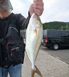 神谷沖一文字内向きで飲ませつり、シオ38cm