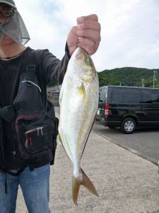 神谷沖一文字内向きで飲ませつり、シオ38cm