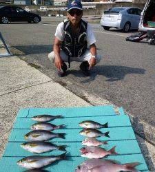 ヒラバエでのカゴ釣りでイサギ&マダイ