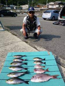 ヒラバエでのカゴ釣りでイサギ&マダイ