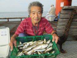 尼崎市魚つり公園でエビ撒き釣り、サバも大きくなってきました