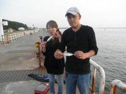【イシゴカイでサヨリ狙いも面白い】大阪南港海釣り公園