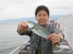 尼崎市魚つり公園　サビキのアジ・サバの他、ズボ釣りでセイゴも