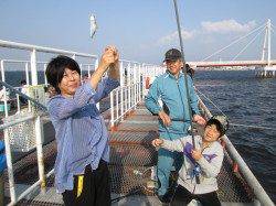 尼崎市魚つり公園　サビキのアジ・サヨリ・サッパで賑わう
