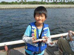 尼崎市魚つり公園　サビキのアジ・サヨリ・サッパで賑わう