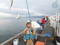 尼崎市魚つり公園　サビキのアジ復活　サヨリも沖向きで狙える