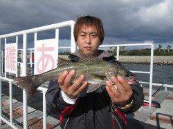 尼崎市魚つり公園でズボ釣り　ハネにセイゴに大漁でした♪