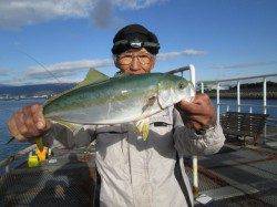 【アジ狙いならベタ底で】尼崎市魚つり公園でサビキ・ズボ釣り