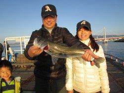 尼崎市魚つり公園　ウキ釣りでセイゴ18尾の釣果　胴突きでカワハギも