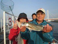 尼崎市魚つり公園　ウキ釣りでハネ＆セイゴ好調
