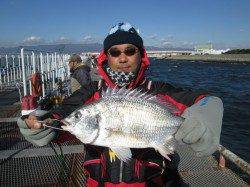 尼崎市魚つり公園　フカセでキビレ10尾　他アジなどの釣果