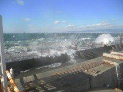 南港海釣り公園　アジの釣果は出たものの、強風高波の為１０時３０分、臨時閉園