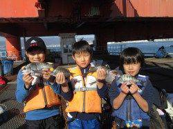 尼崎市魚つり公園　セイゴ・チヌ数出てます