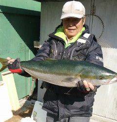 岸和田沖の北でメジロ76cm！アジの飲ませ釣り
