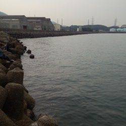 深日漁港～和歌山県青岸までをエギングでランガン