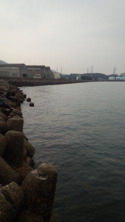 深日漁港～和歌山県青岸までをエギングでランガン