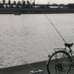武庫川河口でちょい投げ、ハゼ30匹の釣果