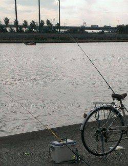 武庫川河口でちょい投げ、ハゼ30匹の釣果