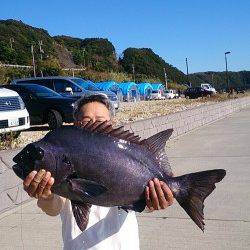 串本の磯　石鯛68.5cmの超大型！