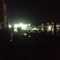深日漁港、夕方からのアジング釣果