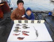 黒島の磯はカワハギが数釣れてます