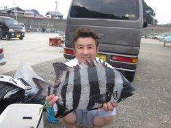 串本東部、もう少しで50cmの立派な石鯛