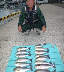 カゴつりでイサギ・グレ・チヌ　〜ヒラバエ他での釣果〜