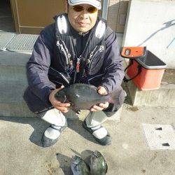 湯浅の磯フカセ釣りでグレ43匹！