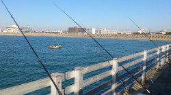 新浜漁港にて探り釣り、アイナメをキャッチ