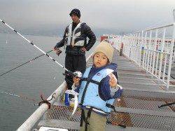 尼崎市魚つり公園で47cmのチヌ！フカセ釣りにて
