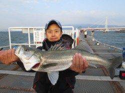 尼崎市魚つり公園　ウキ釣りでセイゴ楽しめる　サビキの釣果も