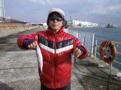 ウキサビキ釣りでサバにアジ　大阪南港海釣り公園
