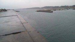 濱ノ瀬漁港、天気は悪かったですが無事にグレが釣れました