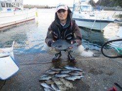 双子の子、オキアミフカセで、グレ・カワハギ・イサキと大漁！