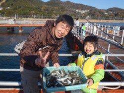須磨海釣り公園　親子でのサビキ釣りでアジ60尾