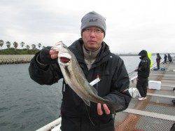 尼崎市魚つり公園　初釣りはハネ＆チヌで開園