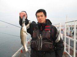 尼崎市魚つり公園　今日はハネ＆キビレ中心の釣果