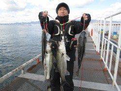 尼崎市魚つり公園、エビ撒きウキ釣りで年無し！