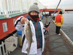 本日は釣り日和でした　尼崎市魚つり公園でハネ、セイゴ