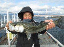 尼崎市魚つり公園　ハネ・セイゴ・チヌの釣果