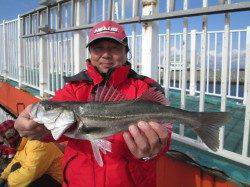 尼崎市魚つり公園　ハネ・セイゴ・チヌの釣果