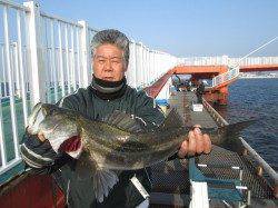 尼崎市魚つり公園ウキ釣りでスズキあがりました！