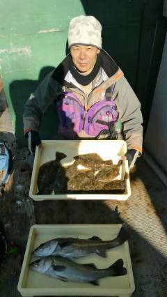 旧の3番で投げ釣り、カレイ＆ハネの釣果