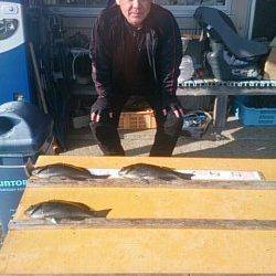 萩尾の磯でオキアミフカセ釣り　グレ良く釣れています♪