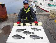 鷹島のカンドリでグレ21匹に良型チヌ♪