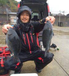 串本東部、水温が上がってたのでグレ良く釣れてました！