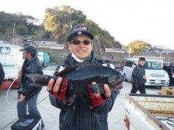 串本東部の磯、連日良型グレが釣れています♪